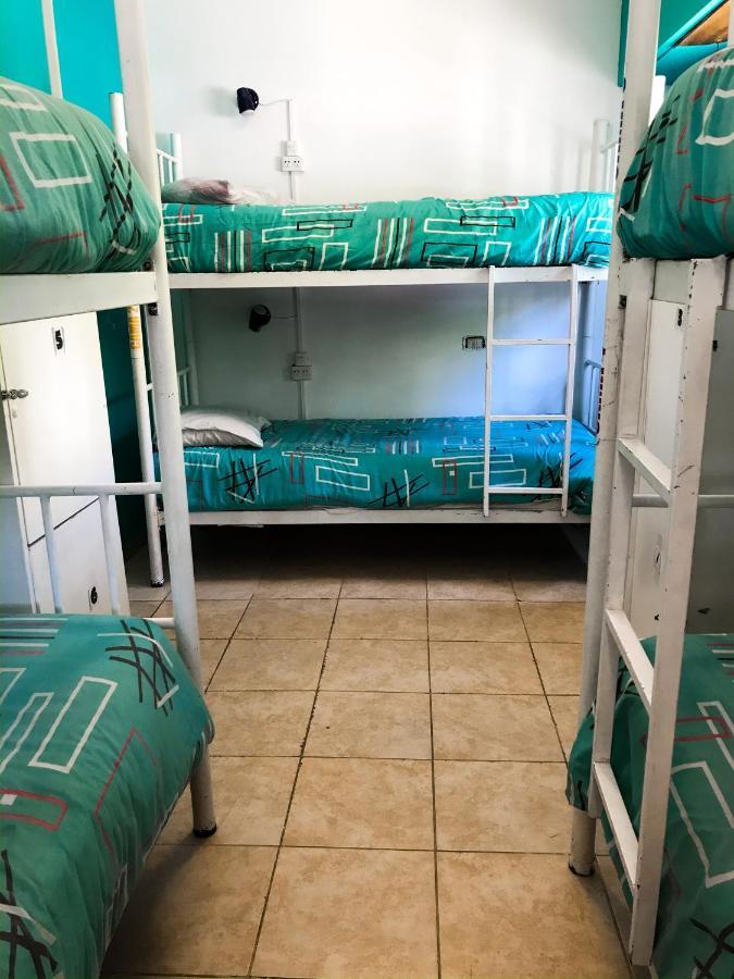 Hostel Punto Patagonico Neuquén المظهر الخارجي الصورة